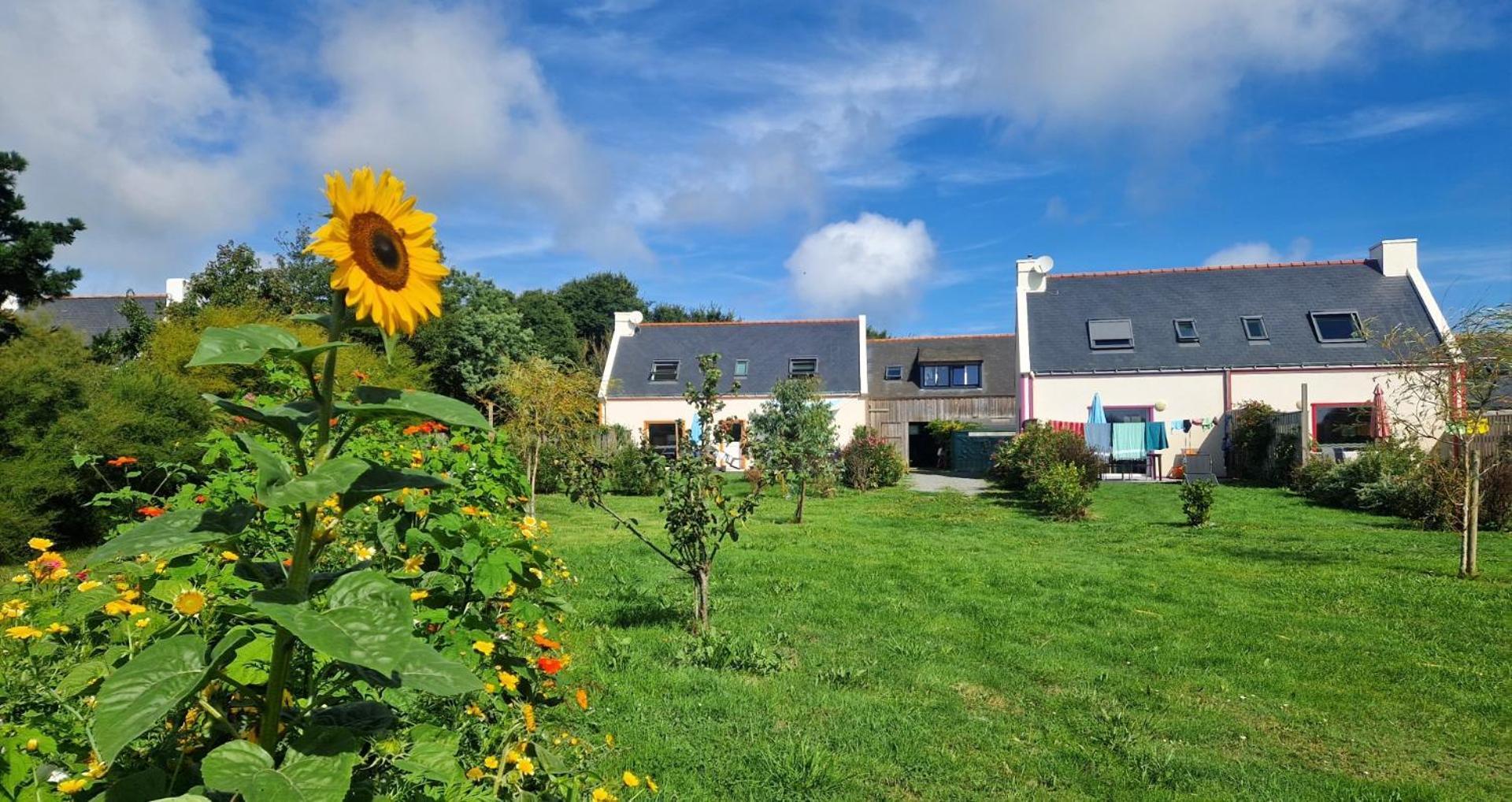 Les Maisons De Kerdavid'Ile - Votre Residence De Vacances A Belle Ile En Mer Locmaria Eksteriør bilde
